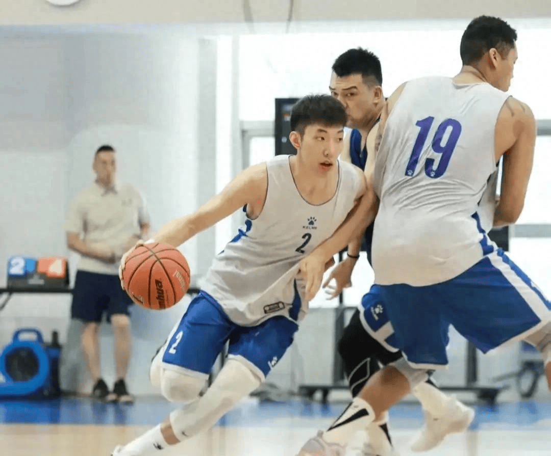 篮球职业联赛：战队阵容调整引发关注